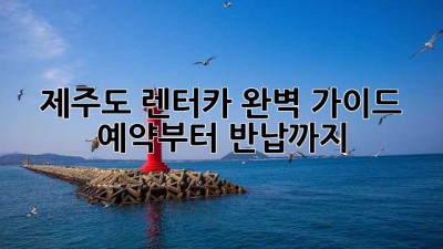 제주도 렌터카 완벽 가이드: 예약부터 반납까지