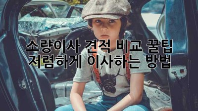소량이사 견적 비교 꿀팁🍯 저렴하게 이사하는 방법!